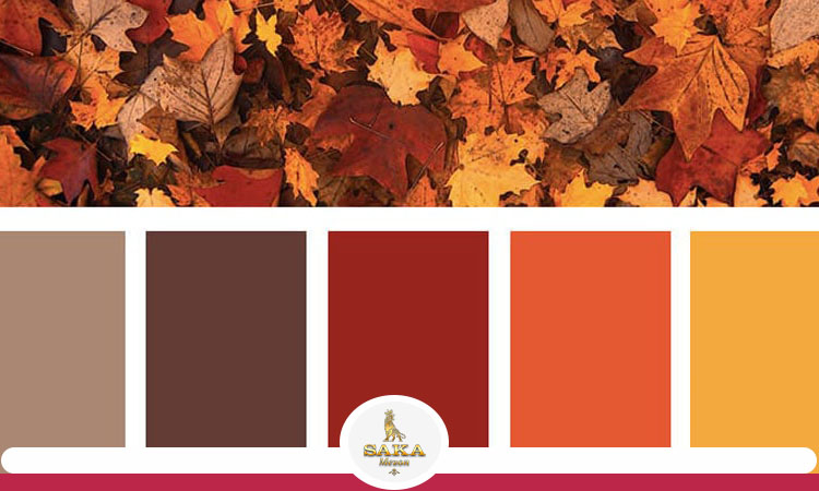 چگونگی انتخاب رنگ برای مانتو های فصل پاییز